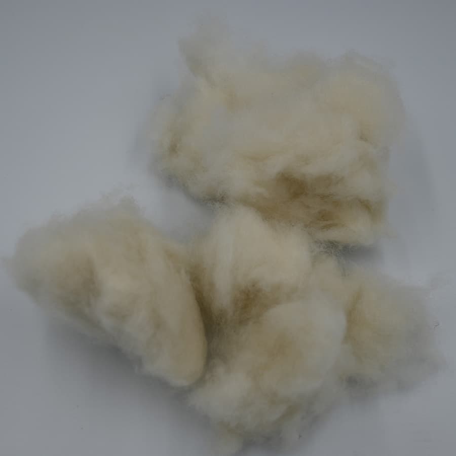 A No Cashmere — 2