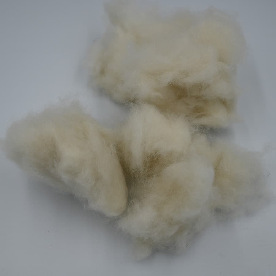 A No Cashmere — 3