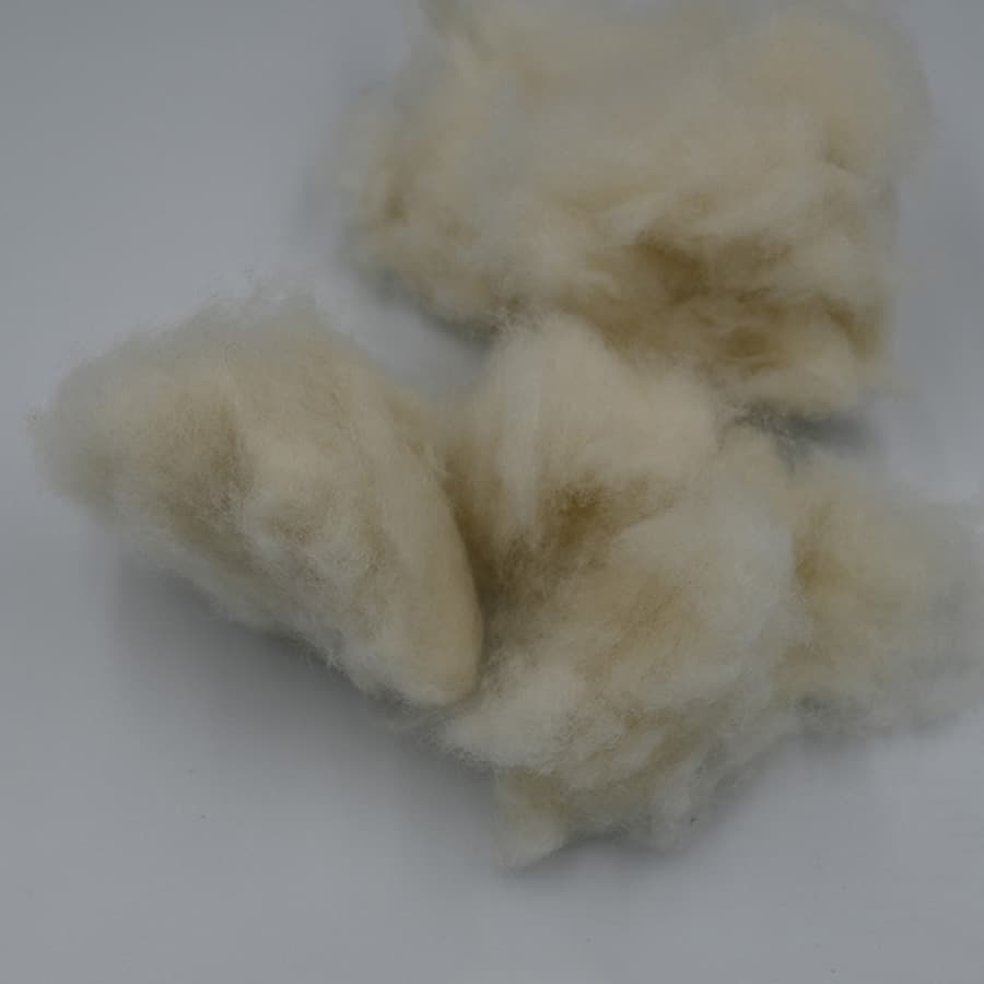 A No Cashmere