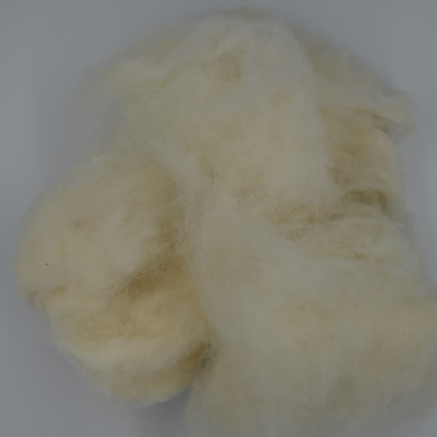 A No Wool — 2