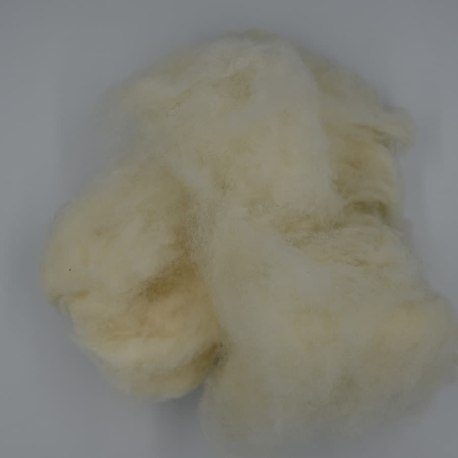 A No Wool — 3