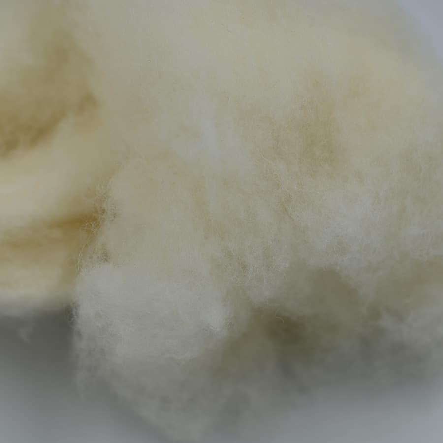 A No Wool — 5