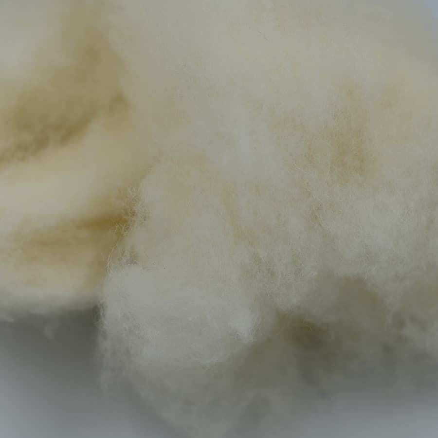 A No Wool — 6