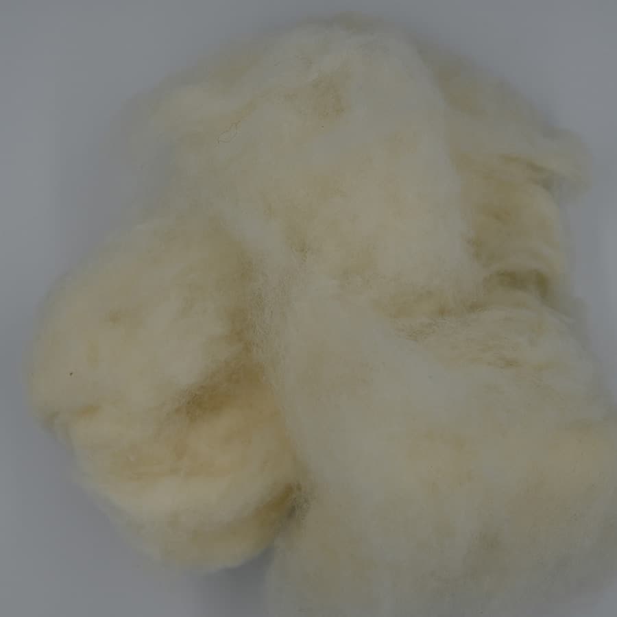 Wool