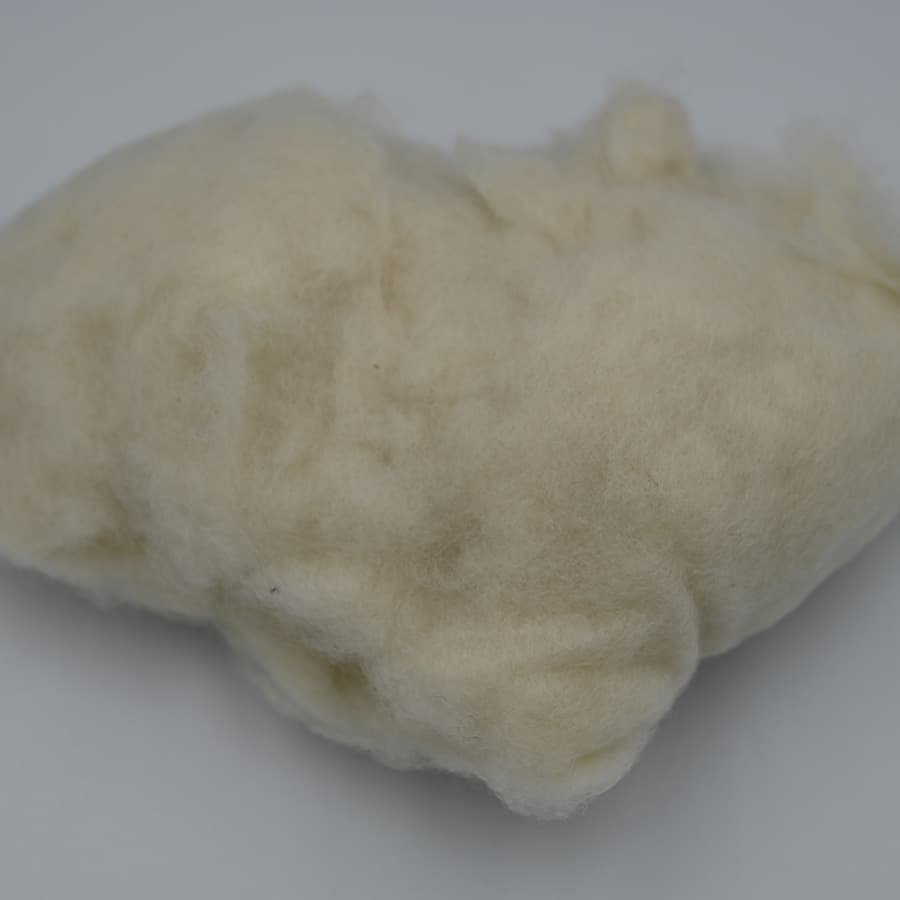 B No Cashmere — 2