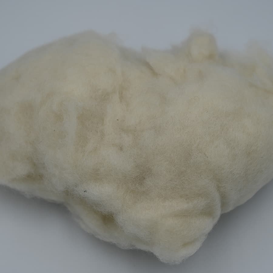 B No Cashmere — 3