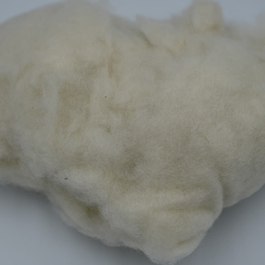 B No Cashmere — 4