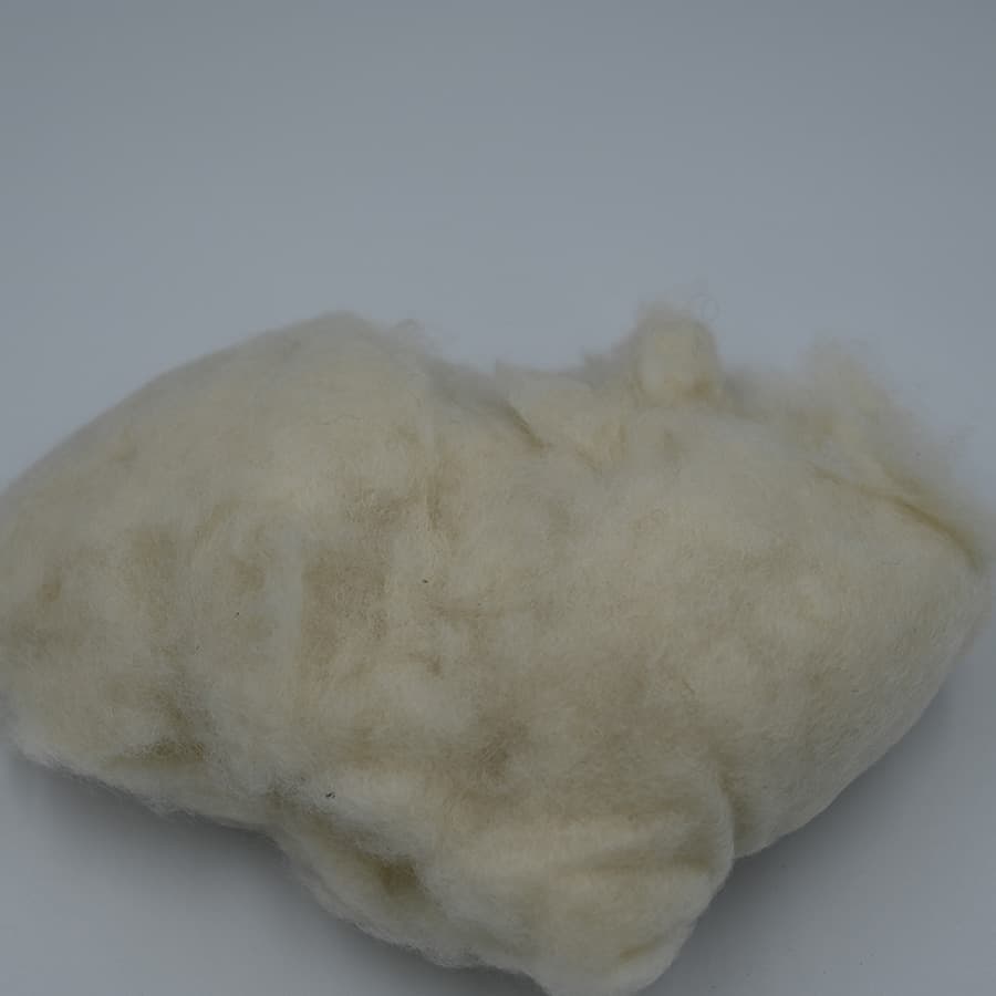 B No Cashmere — 5