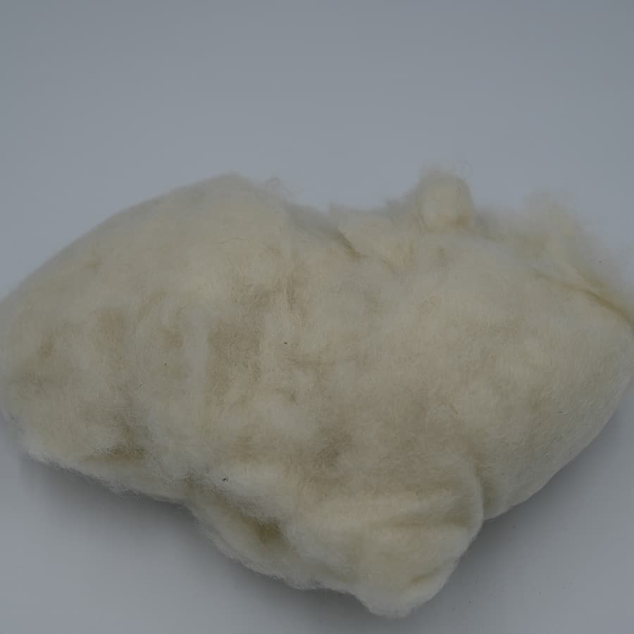 B No Cashmere — 6