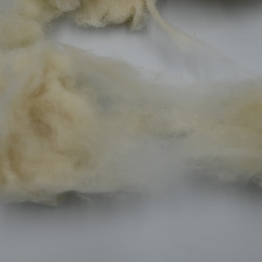 B No Wool — 2