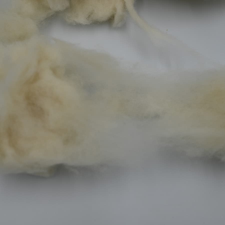 B No Wool — 3