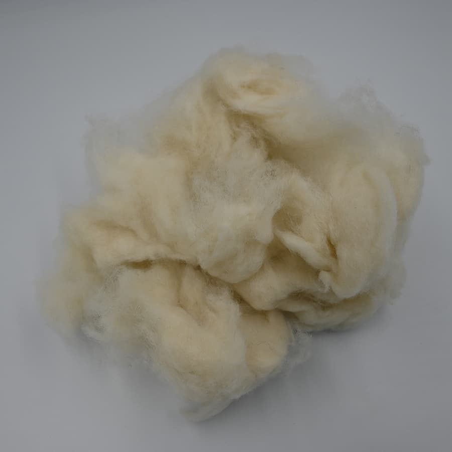 B No Wool