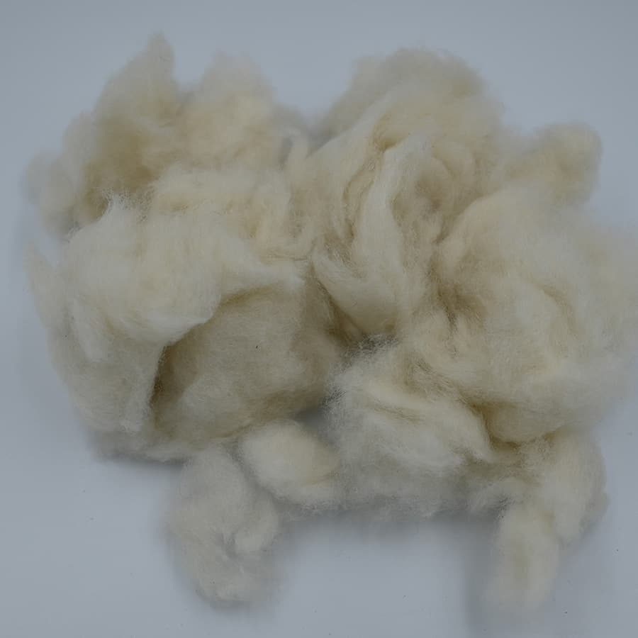C No Cashmere — 2