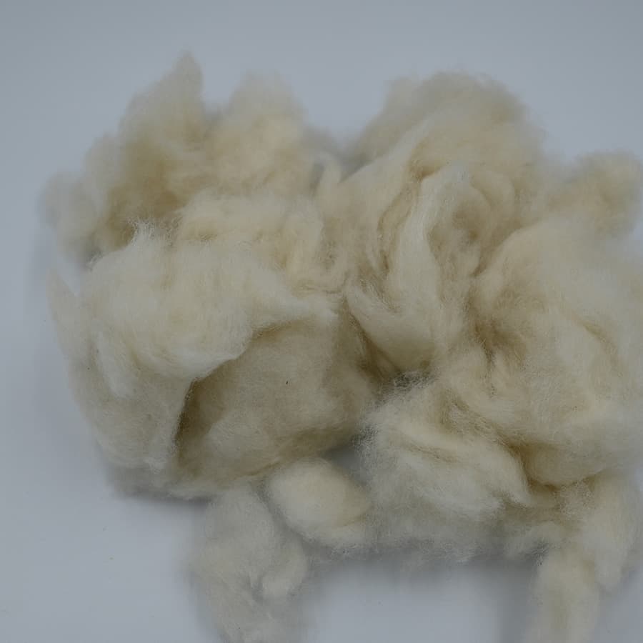 C No Cashmere — 3