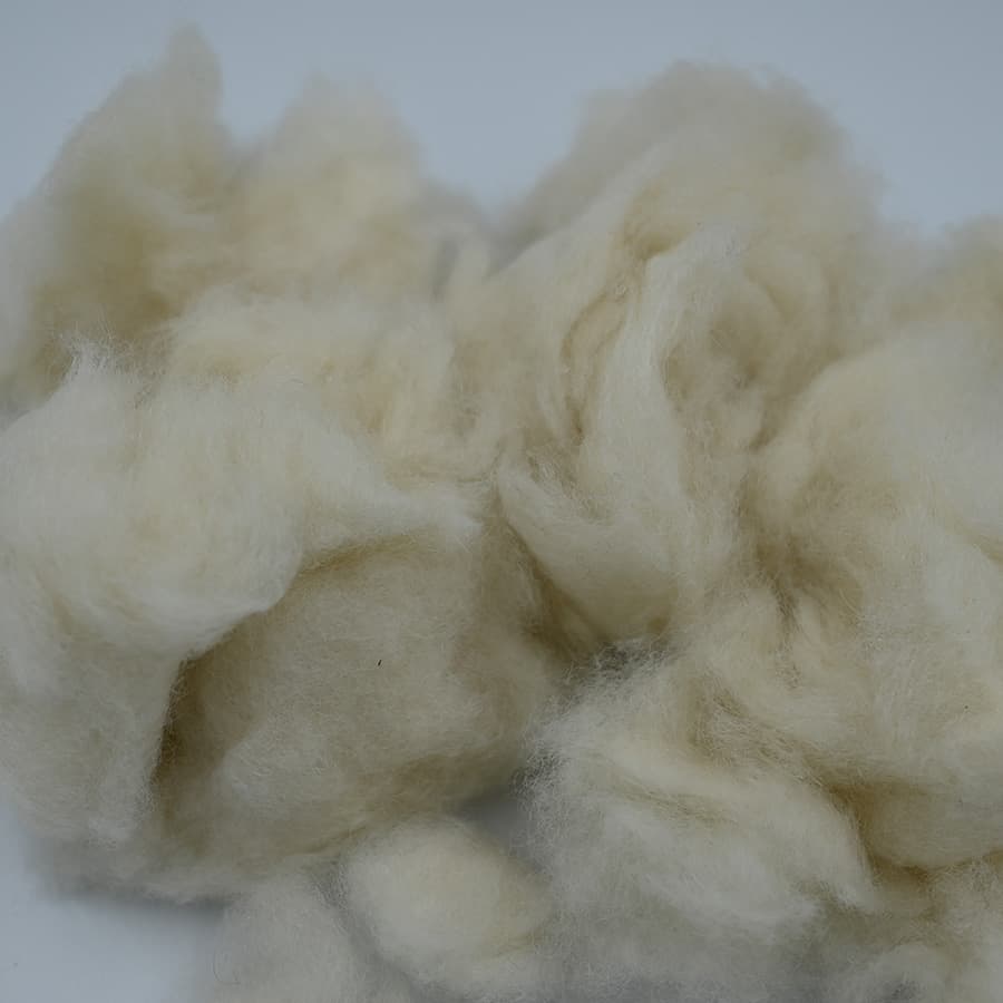 C No Cashmere — 4