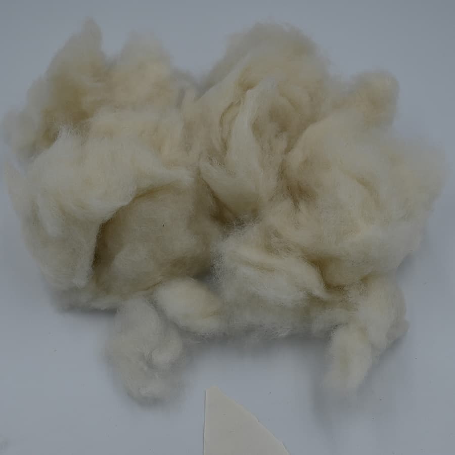 C No Cashmere
