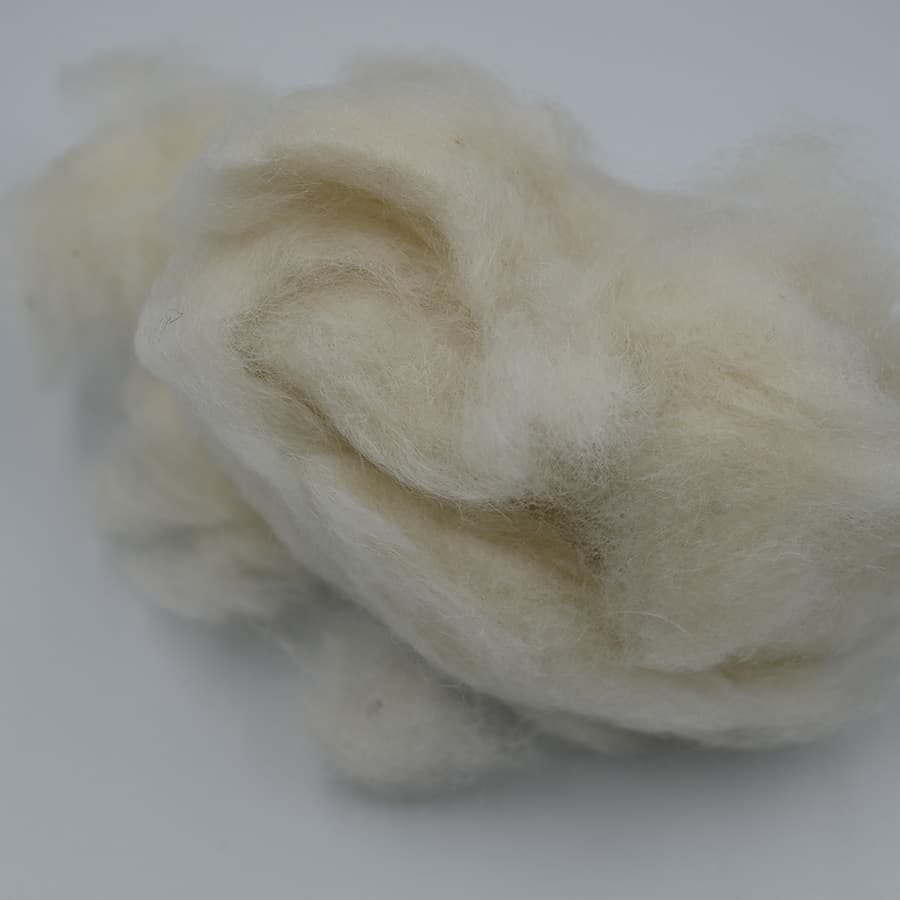 D No Cashmere — 2