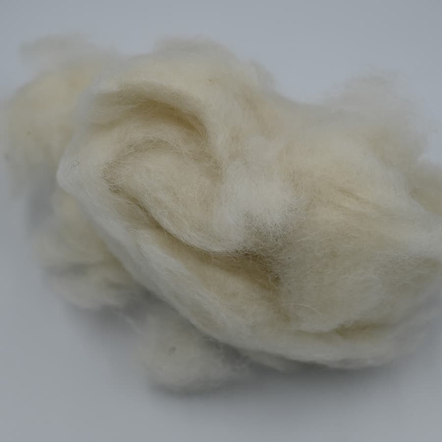D No Cashmere — 5