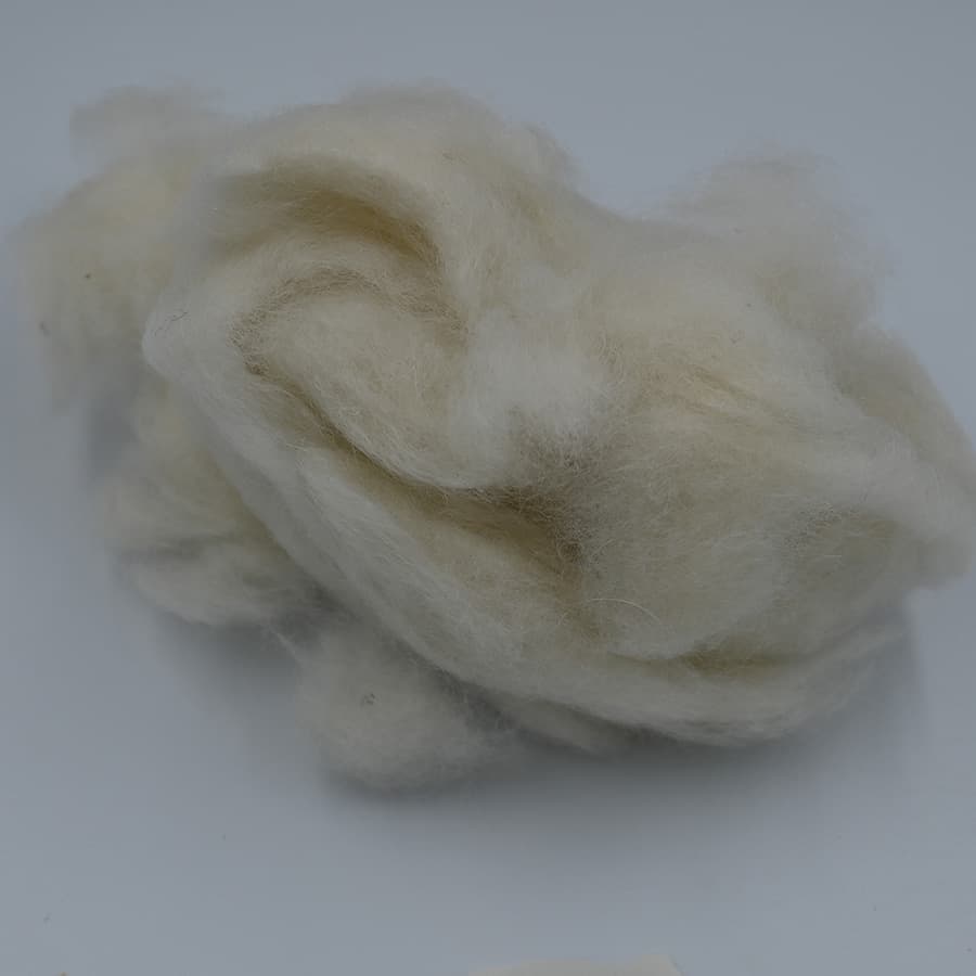 D No Cashmere
