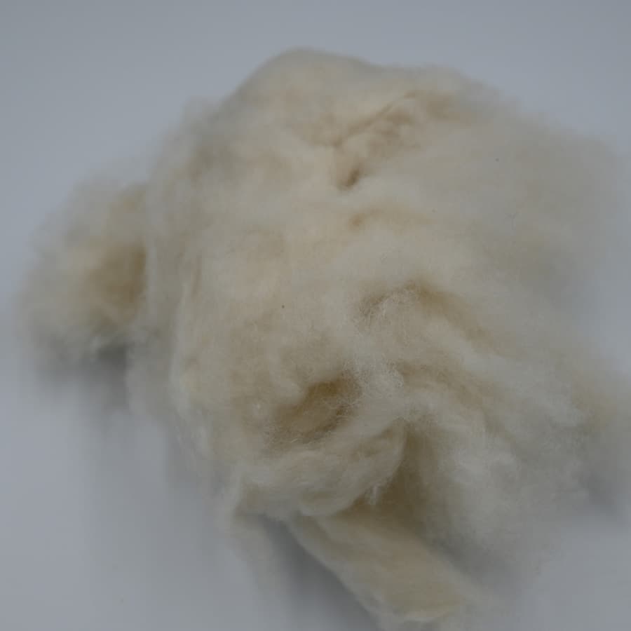 E No Cashmere