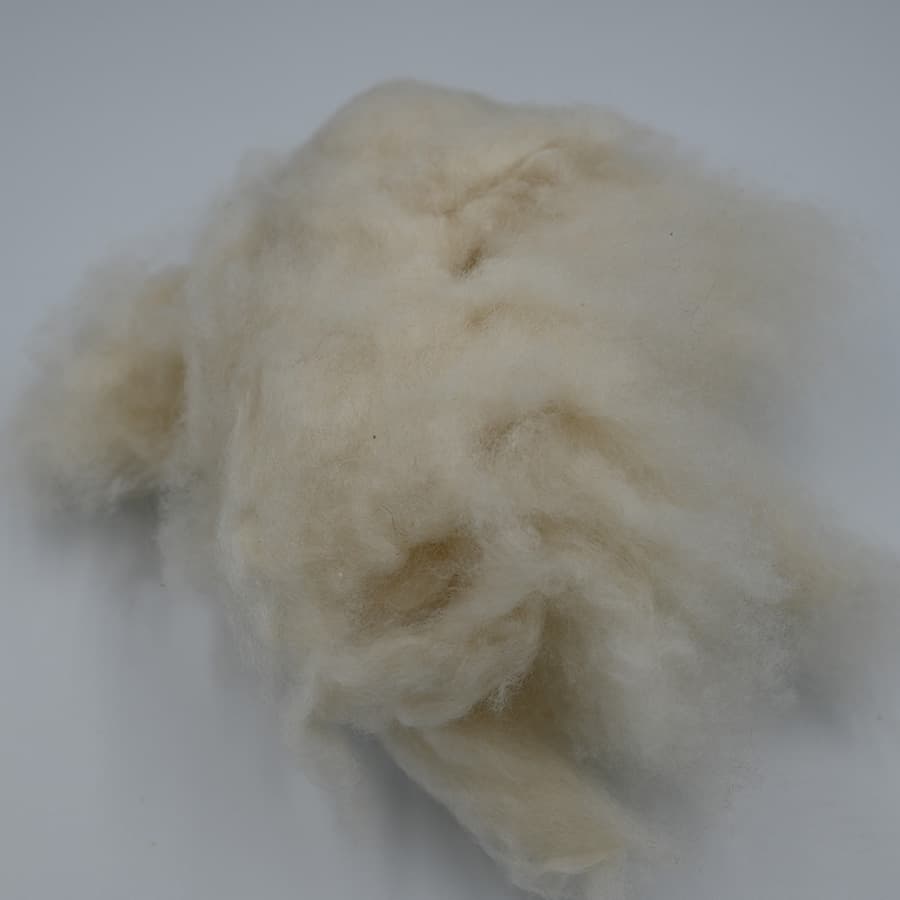E No Cashmere — 2