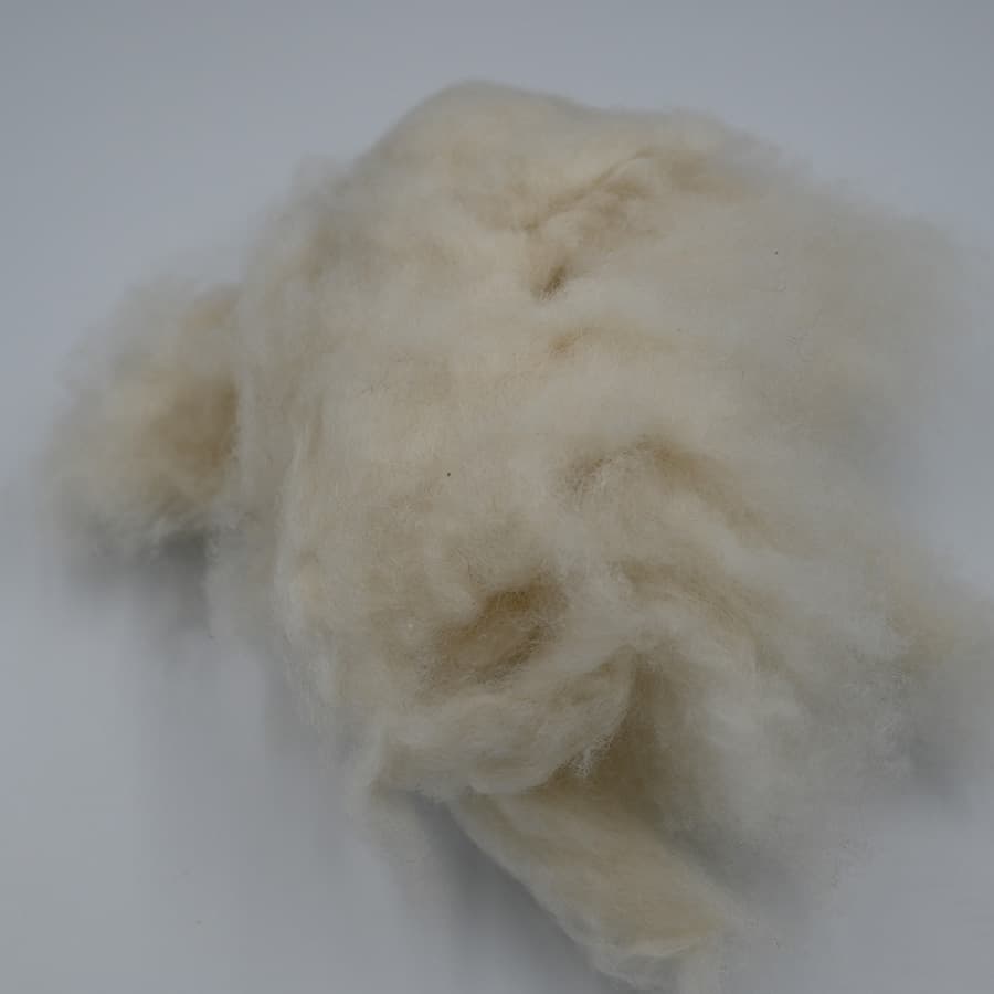 E No Cashmere — 3