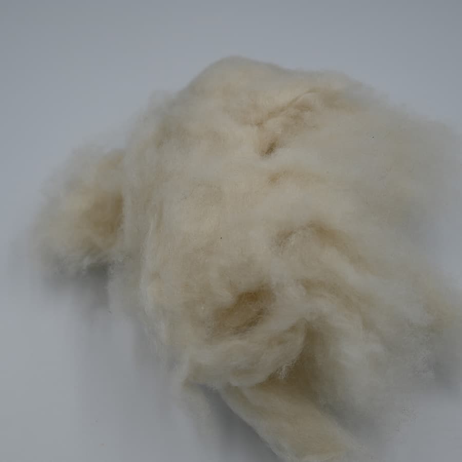 E No Cashmere — 4