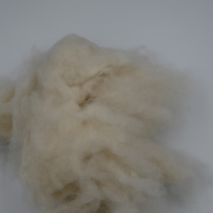 E No Cashmere — 5