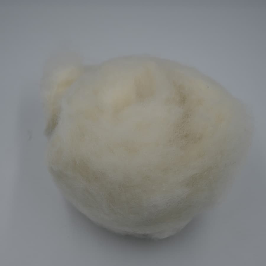 F No Cashmere — 4