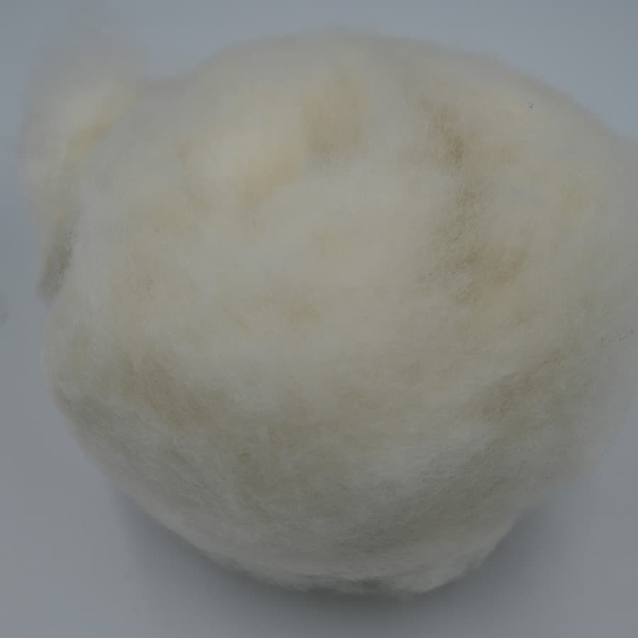F No Cashmere — 6