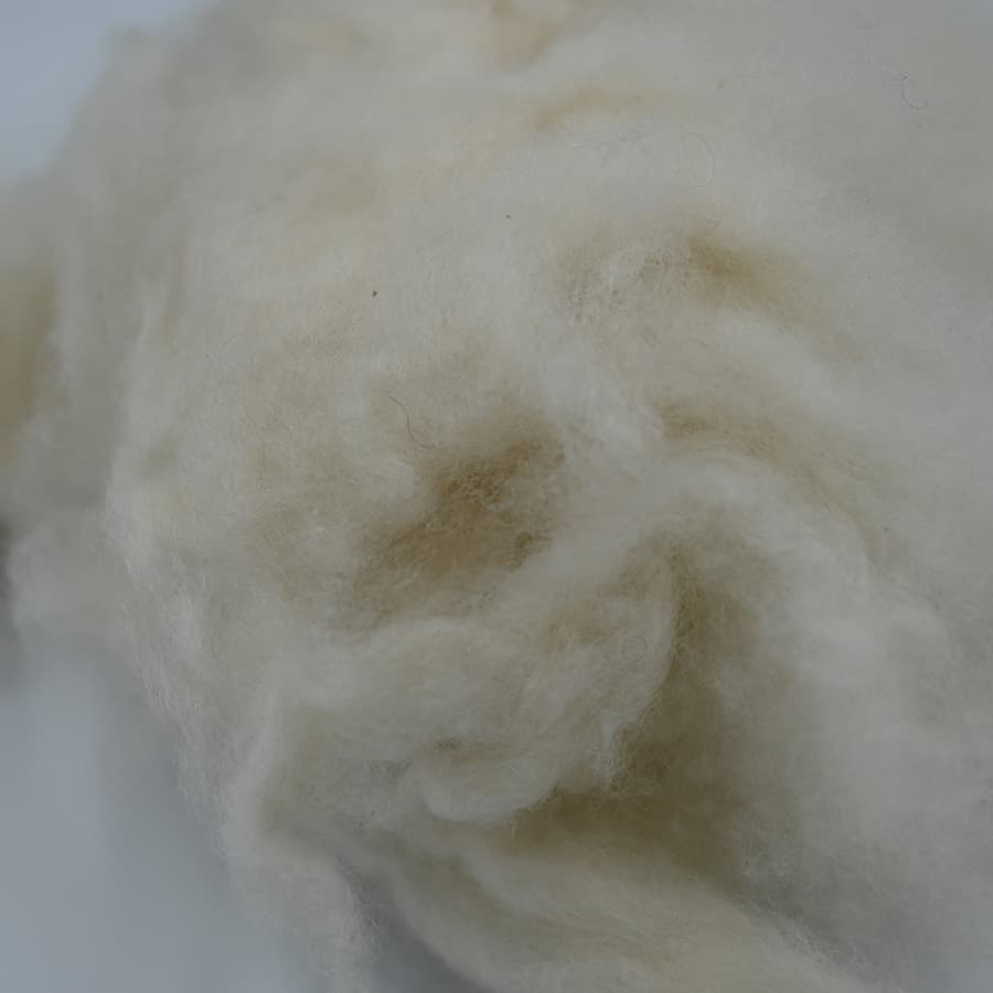 F No Cashmere