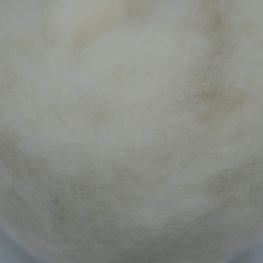 F No Cashmere — 7