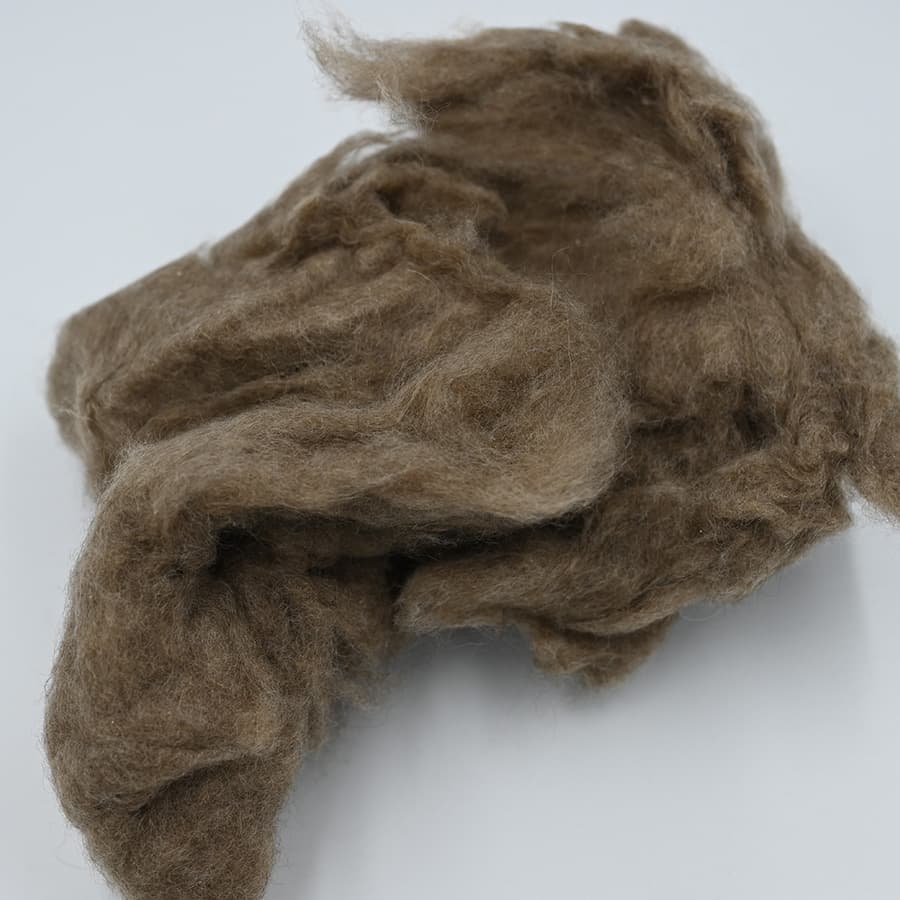 H No Cashmere — 2