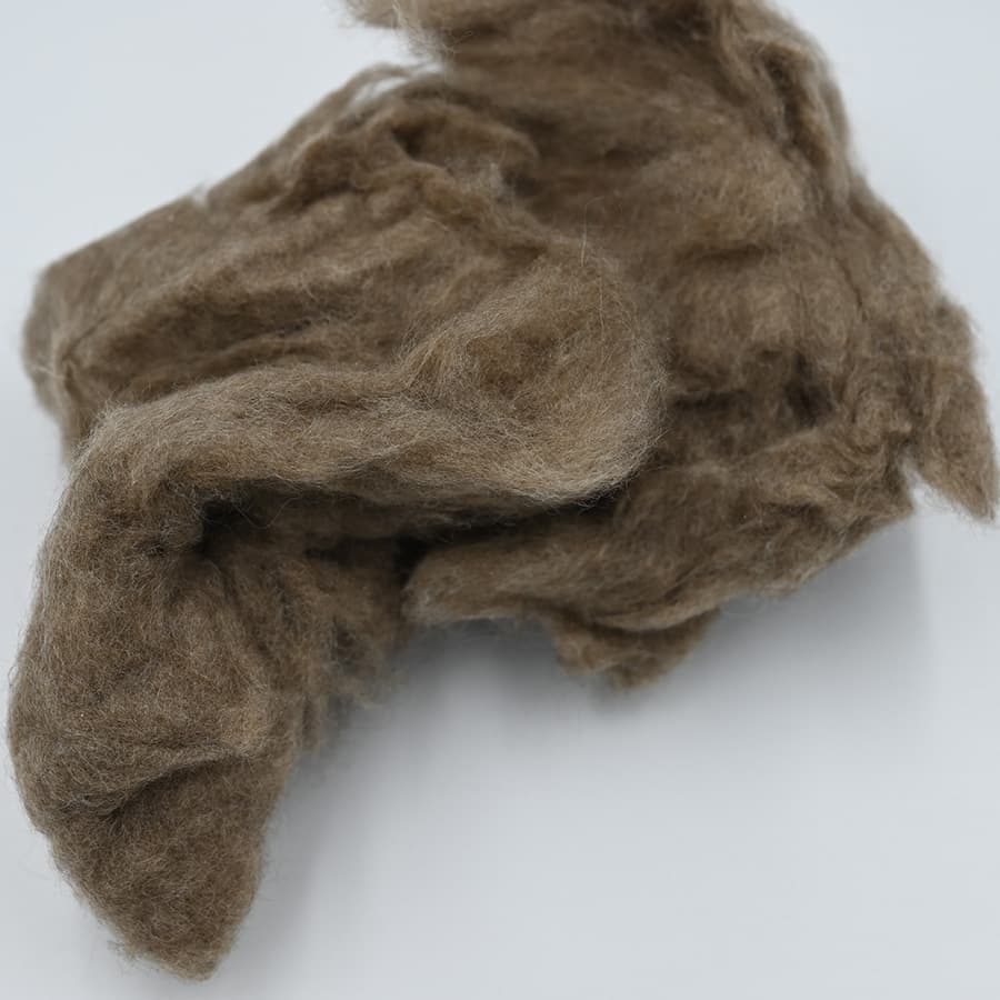 H No Cashmere — 3
