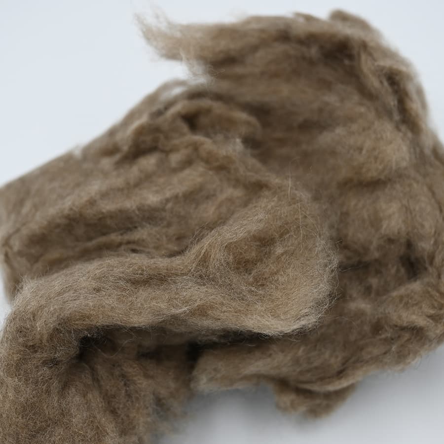 H No Cashmere — 5