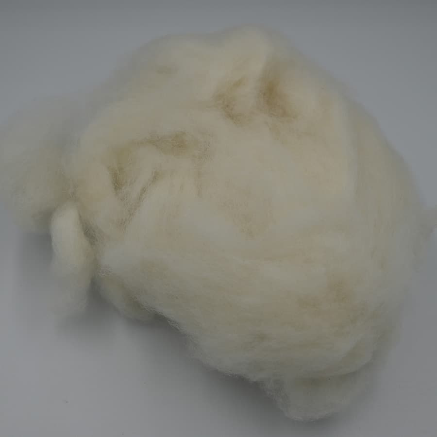 Alpaca